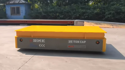 25 TUJ POLDDY thauj laub