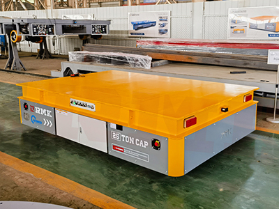 25 TUJ POLDDY thauj laub