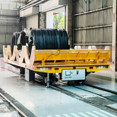 10 tons customized v-ncej automated rgv